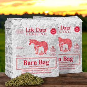 Barn BAG® - 2 x 5kg Pack Cushing EMS Hufrehe